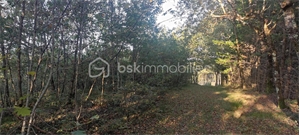 foret à la vente -   82230  MONCLAR DE QUERCY, surface 1428 m2 vente foret - UBI473831294
